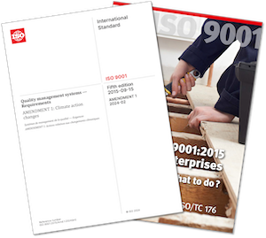 Cover page: ISO 9001:2015 SME success package